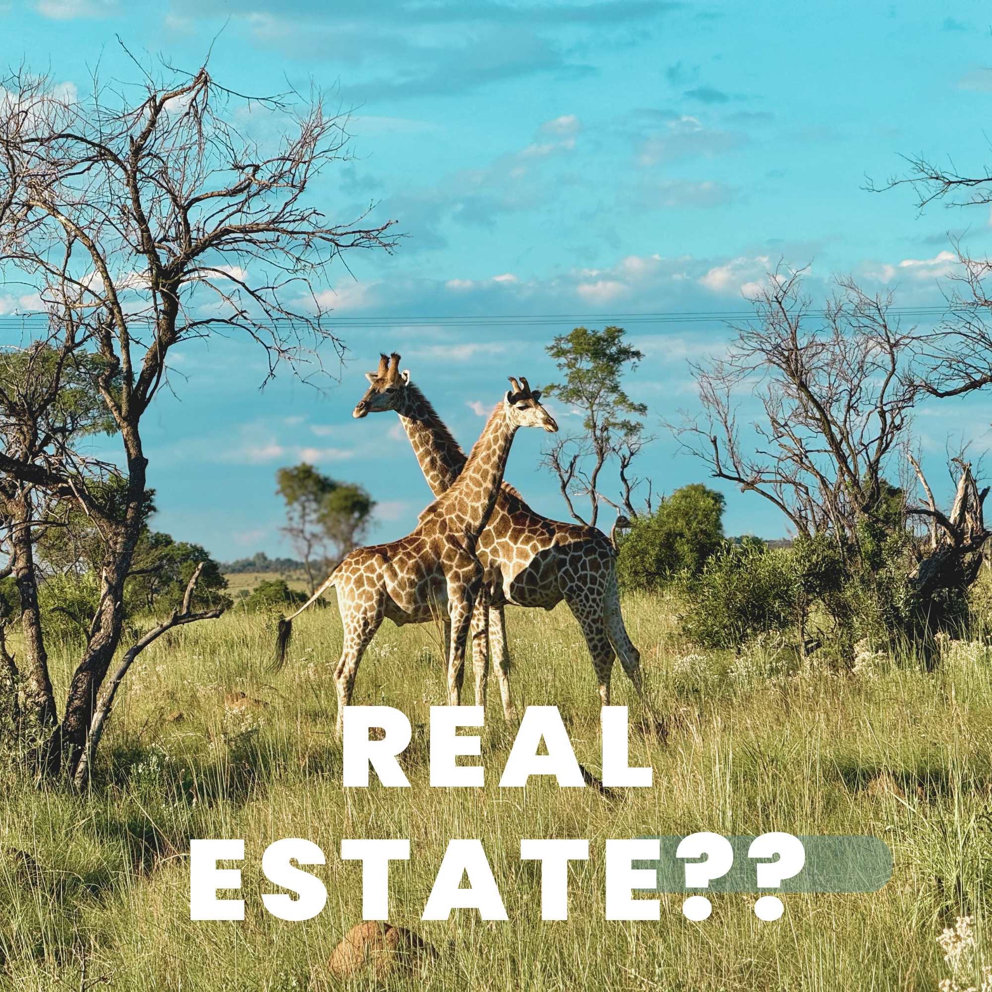 Is It Getting Increasingly Difficult to Sell Luxury Real Estate in Nigeria, Cameroon and Kenya?